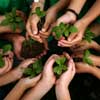 green shoots, social change 2012
